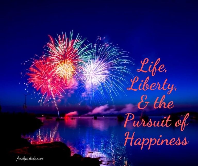 Reflections on Independence Day – freely whole living