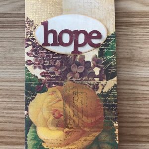 hope journal